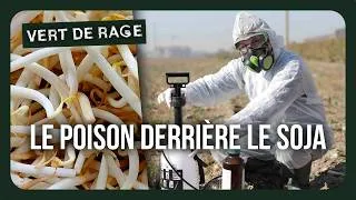 Miniature : Pesticides : la confrontation face à Monsanto