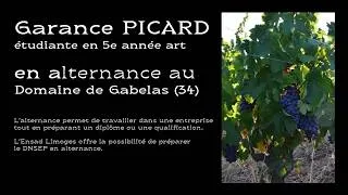 Miniature : Garance Picard | Alternance au Domaine de Gabelas