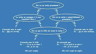 Miniature : L'arbre des accords (le participe passé en 4 questions)