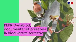 Miniature : Dynabiod : un programme de recherche pour préserver la biodiversité terrestre