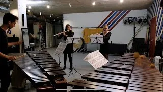 Miniature : « La Muerte del Angel » - Astor Piazzolla (arr. José Bragato)