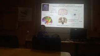 Miniature : Comment s’organise la neurotransmission dans les multiples fonctions dans le cerveau et le corps ?
