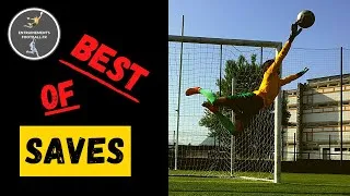 Miniature : BEST OF SAVES / QUENTIN SAUVION