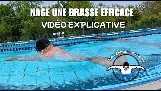 Miniature : NAGE UNE BRASSE PLUS EFFICACE : LES CRITÈRES CLÉS