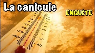 Miniature : La canicule 🥵 ENQUÊTE