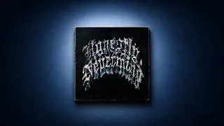Miniature : L’album mal-aimé de Drake (Honestly, Nevermind)