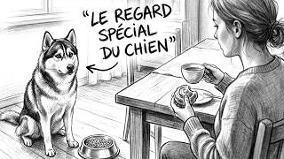 Miniature : CHIMIE Secrète Ou Comment Un CHIEN T'a APPRIVOISÉ