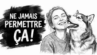 Miniature : Pourquoi Votre Chien Vous Lèche le Visage : La VÉRITÉ Que Vous Ne Vouliez Pas Savoir