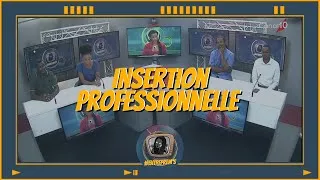 Miniature : L’insertion professionnelle en Guadeloupe