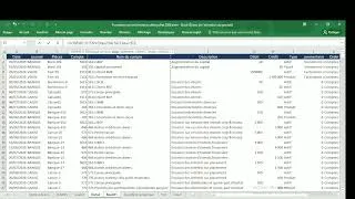 Miniature : Usage du wild card (*) en EXCEL dans le comptage, les sommes et les filtres des données.