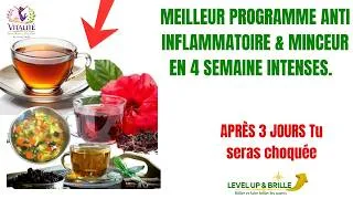 Miniature : LE MEILLEUR PROGRAMME ANTI INFLAMMAT0IRE : Enfin disponible 