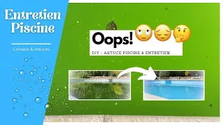 Miniature : ✅ Eau de Piscine Verte : Les 5 étapes pour la rattraper à coup sûr (Guide Étape par Étape)