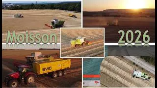 Miniature : Moisson 2026 en mode ⚡⚡  La canicule a tout grillé! #farming #claas