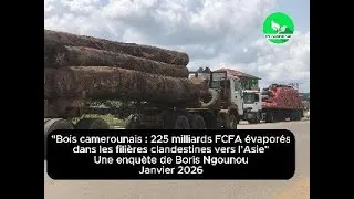Miniature : Environnementales du 26 janvier 2026