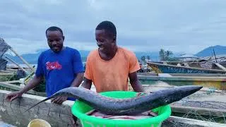 Miniature : Pêche artisanale et crise anglophone à Limbé 2025
