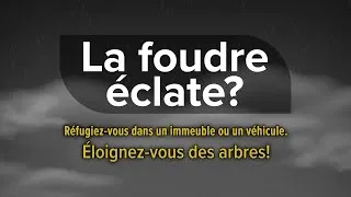 Miniature : La foudre! Les arbres n’offrent aucune protection!