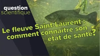 Miniature : Comment connaître l’état de santé du fleuve Saint-Laurent? | Question scientifique