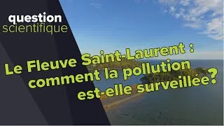 Miniature : Comment mesurer la pollution du Saint-Laurent? | Question scientifique
