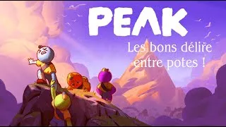 Miniature : Soirée délire sur PEAK avec les copains !
