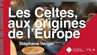 Miniature : Qui sont les Celtes ?