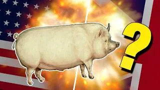 Miniature : Comment un cochon a t-il déclenché une guerre ?