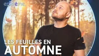 Miniature : EPISTEME - Pourquoi les feuilles changent-elles de couleur ?