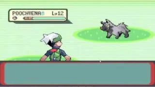 Miniature : Pokemon Emeraude EP 4 - La famille PosiGapi