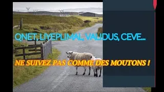 Miniature : QNET, CEVE, MLM, LIYEPLIMAL, VALIDUS; ARRÊTEZ DE SUIVRE COMME DES MOUTONS...