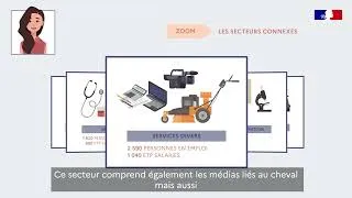 Miniature : Décompte des emplois liés à la filière équine - 2023