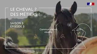 Miniature : Episode 3 "Le cheval ? Des métiers !" avec Marie Sapin, spécialisée en communication visuelle
