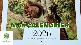 Miniature : Et voici mon calendrier 2026 spécial écureuils 🐿️📸 !