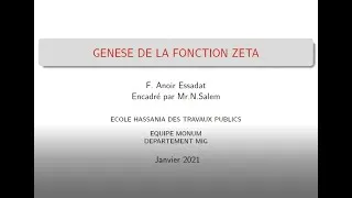 Miniature : Genèse de la fonction Zêta de Riemann
