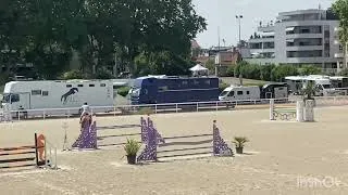 Miniature : Cheval à vendre - Hongre 6ans kannan x le tot de semilly - equirodi.com