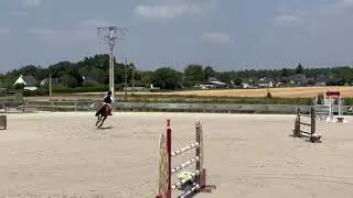 Miniature : Cheval à vendre - Jument de sport 140/145 - Vidéo 3 - equirodi.com