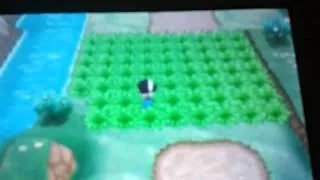 Miniature : [ XY ] { pokeradar } Passerouge Shiny