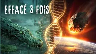 Miniature : L’Animal que la Nature a tenté d’effacer (3 fois) : Le Survivant Ultime 🐊