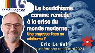 Miniature : Le bouddhisme comme remède à la crise du monde moderne - Une sagesse face au nihilisme ? Eric Le Gal