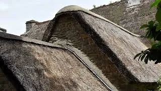 Miniature : au pays du chaume