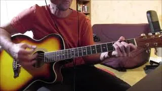 Miniature : Down In A Hole  (Alice in Chains) cover acoustic guitar
