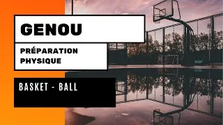 Miniature : Reathletisation du genou