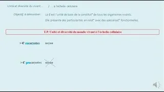 Miniature : TP Cell TP1  V1 Intro