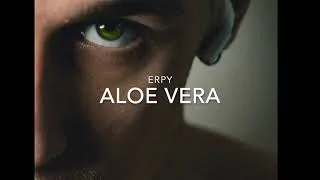 Miniature : ERPY - Aloe vera