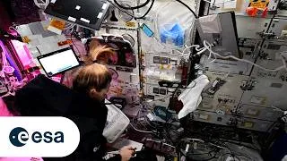 Miniature : Installing NEMUCO in BioLab