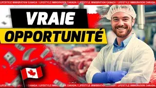 Miniature : Tout ce qu'il faut savoir sur la formation boucher au Canada