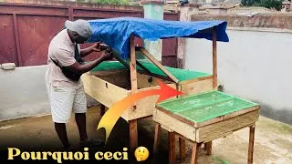 Miniature : Construire une Escargotière Parfaite : Guide Complet pour Élever des Escargots