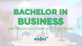 Miniature : Intégrer le Bachelor in Business en 2e ou 3e année : Tout savoir sur les admissions parallèles