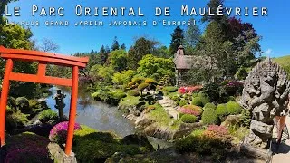 Miniature : Le plus grand jardin japonais d’Europe 🌸 | Parc oriental de Maulévrier