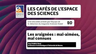Miniature : Les araignées : mal-aimées, mal connues