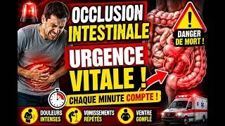 Miniature : Occlusion Intestinale  Les Signes d’Alerte qui Peuvent Sauver une Vie