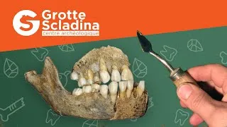 Miniature : Présentation de la Grotte Scladina